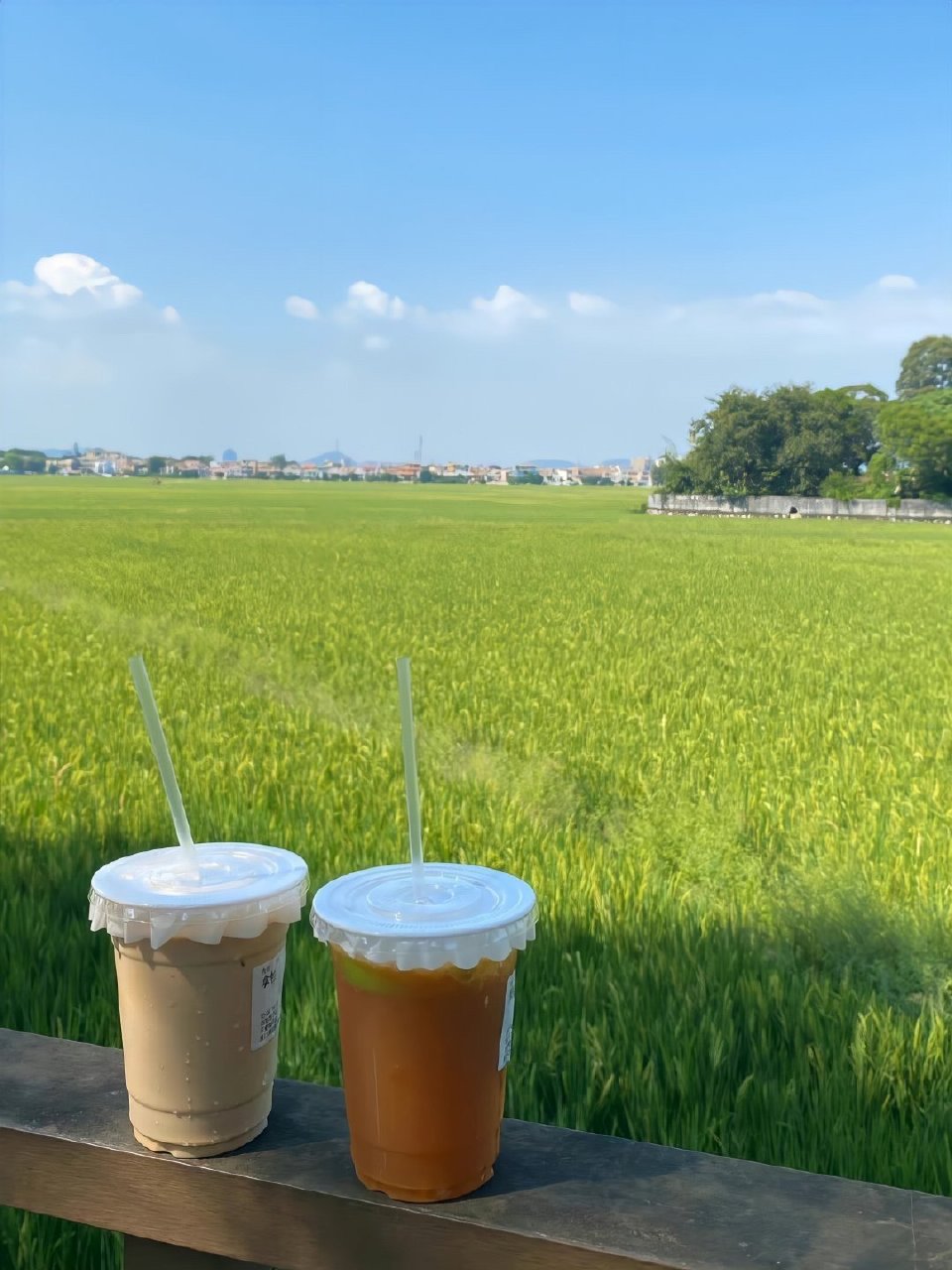 如何看待越来越多的年轻人 选择这种旅行方式?