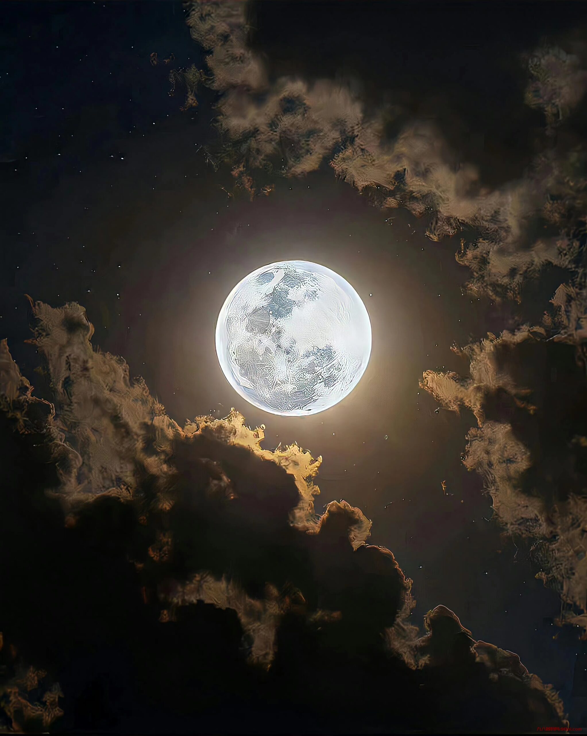 流量星球是什么项目？揭秘流量星球的神秘面纱-首码网-网上创业赚钱首码项目发布推广平台