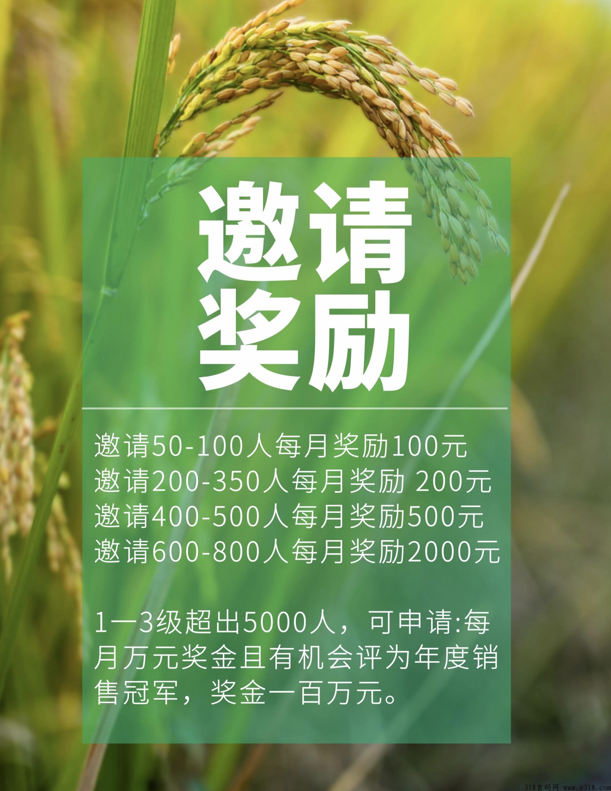 20240315230529171051512987506