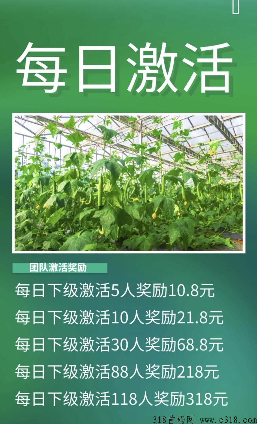 20240315230544171051514466760