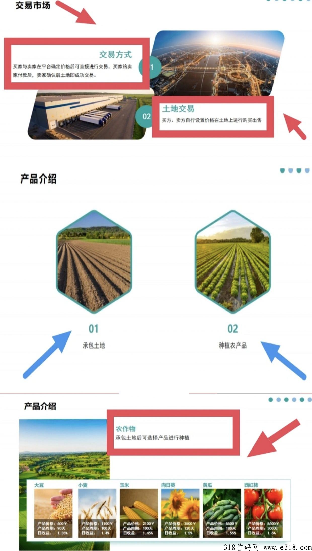 20240315230446171051508690363