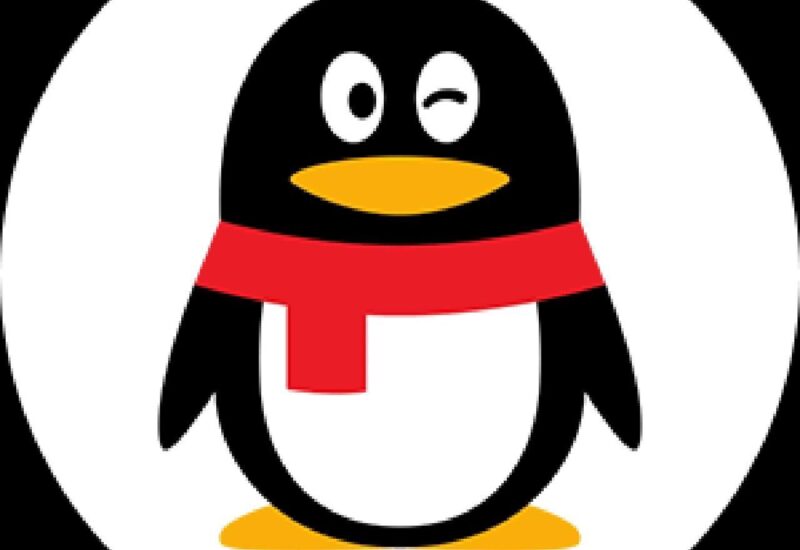 knife的头像-首码网-网上创业赚钱首码项目发布推广平台