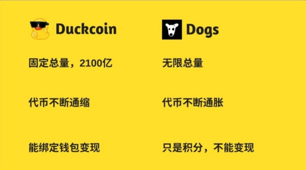 20240725220411857-IMG_20240725_204622