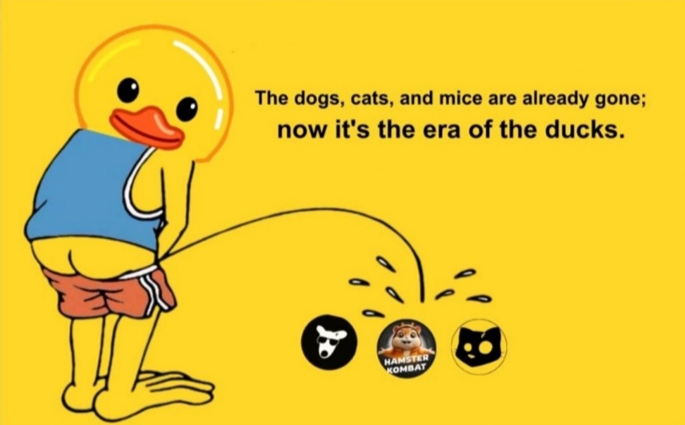 20240725220441663-IMG_20240725_204745