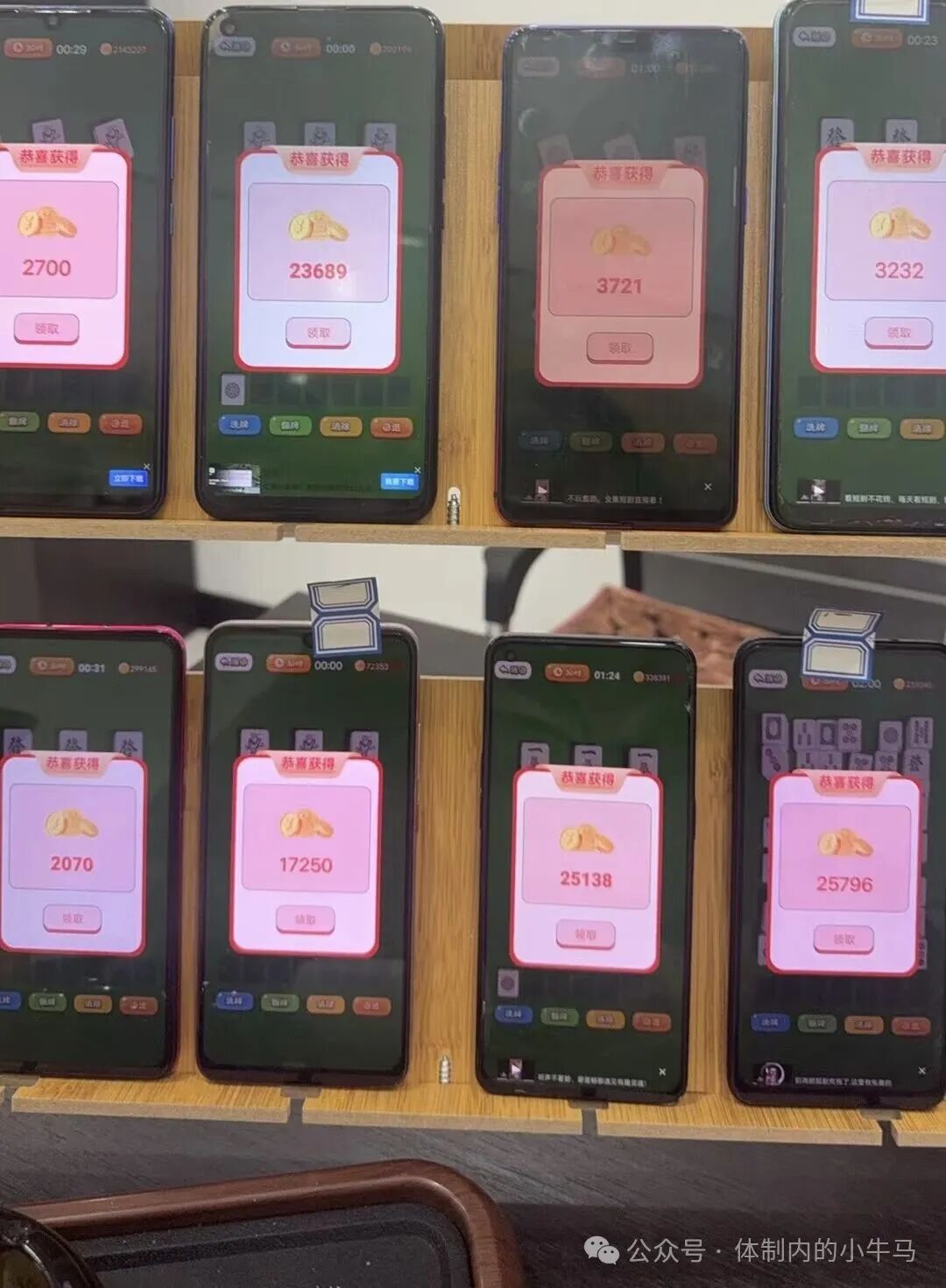 20251227231745894-微信图片_2025-12-27_230443_289