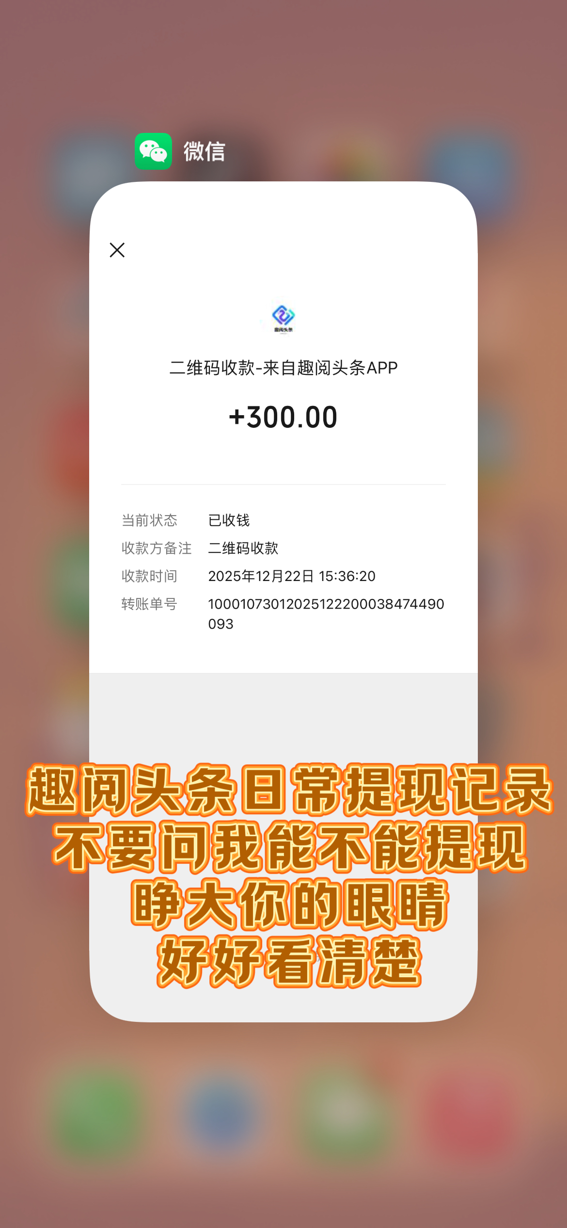 20251228112556243-IMG_3866