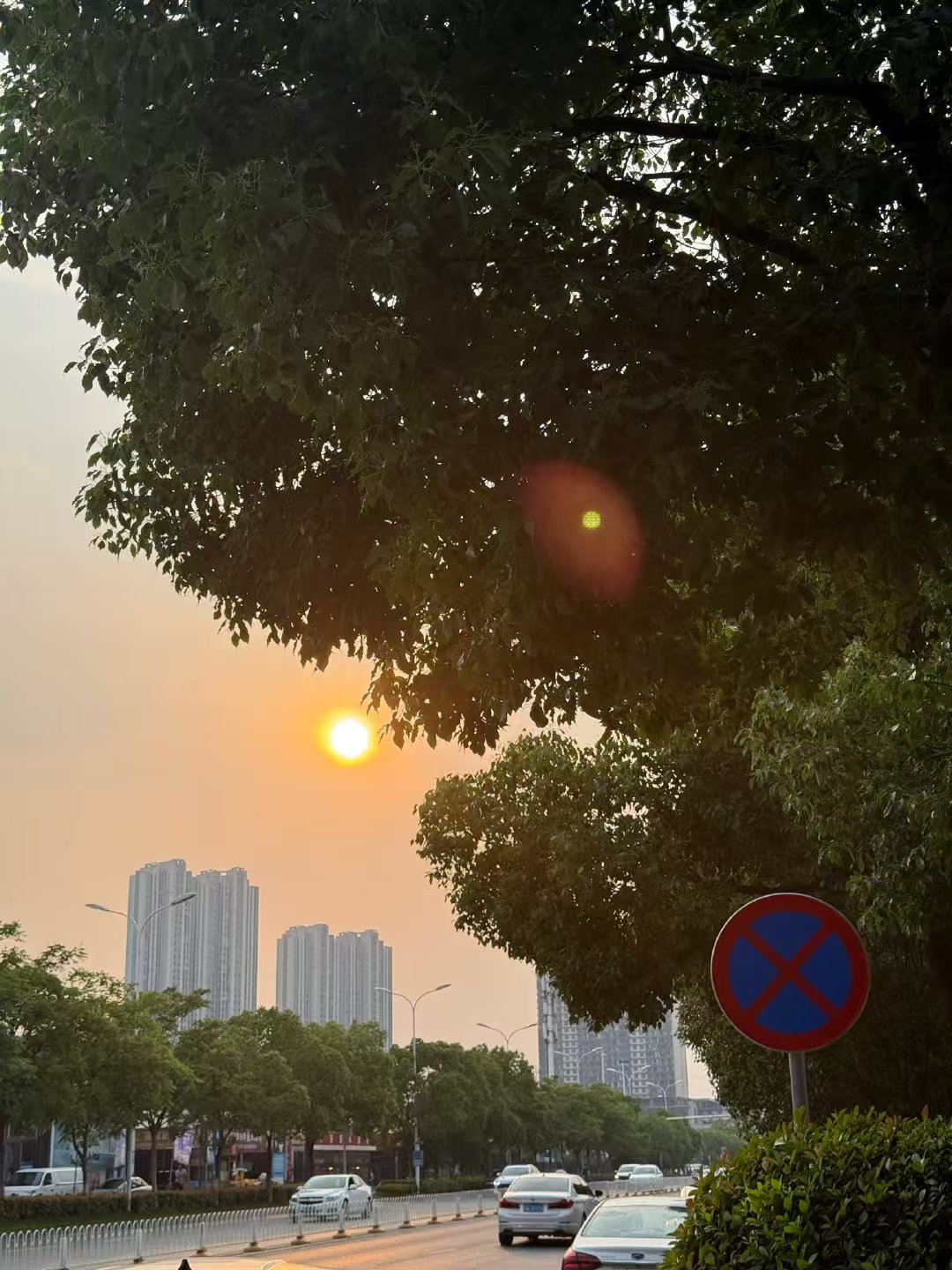 摆摊如何创业呢？摆摊创业全攻略：从零开始的成功之路-首码网-网上创业赚钱首码项目发布推广平台