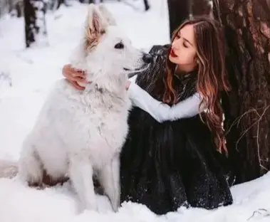 她与流浪狗-首码网-网上创业赚钱首码项目发布推广平台