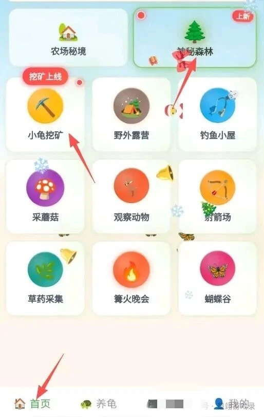 20260203164641580-IMG_20260203_161928