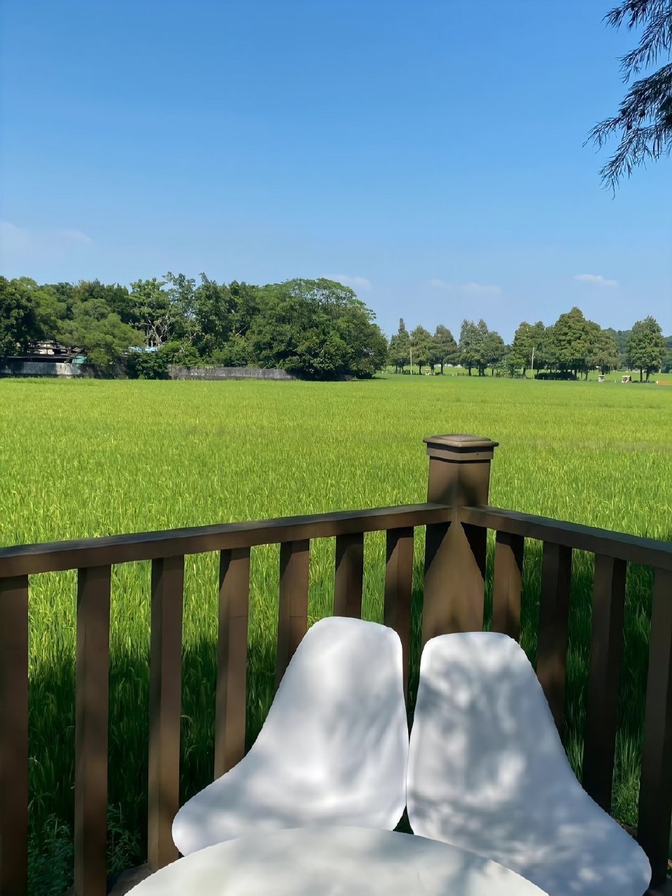 玩家必备教程“新大圣大厅哪里买房卡”详细房卡教程来自百度-首码网-网上创业赚钱首码项目发布推广平台