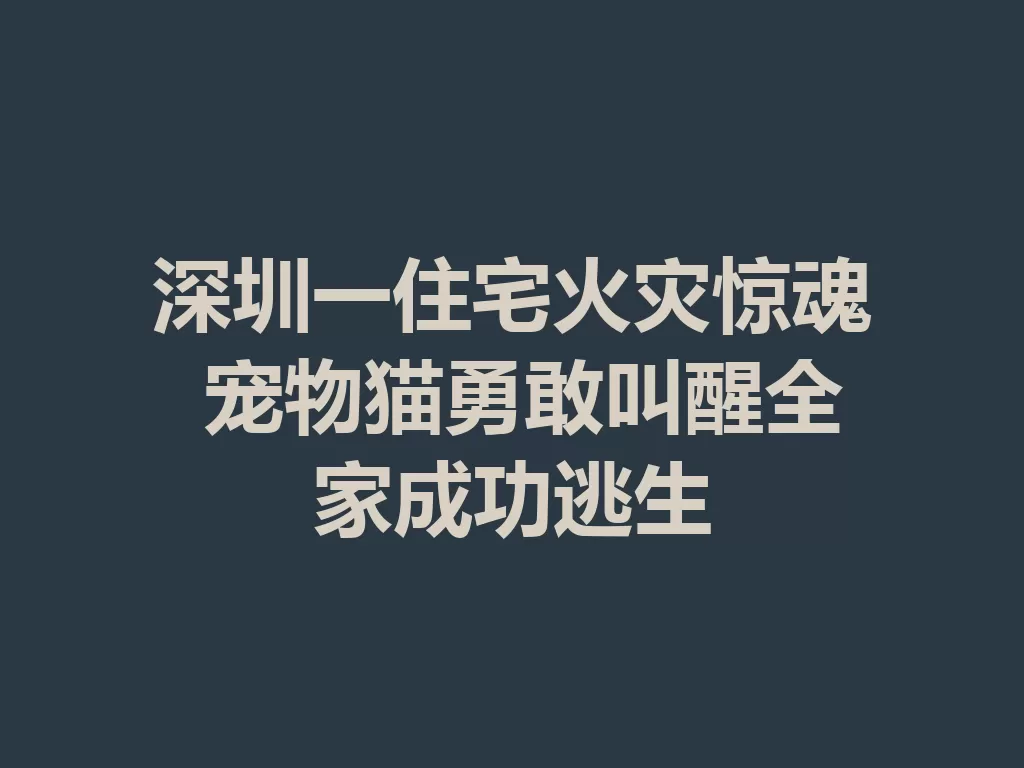 深圳一住宅火灾惊魂 宠物猫勇敢叫醒全家成功逃生-九八首码网-首码项目发布-网赚副业零撸项目平台