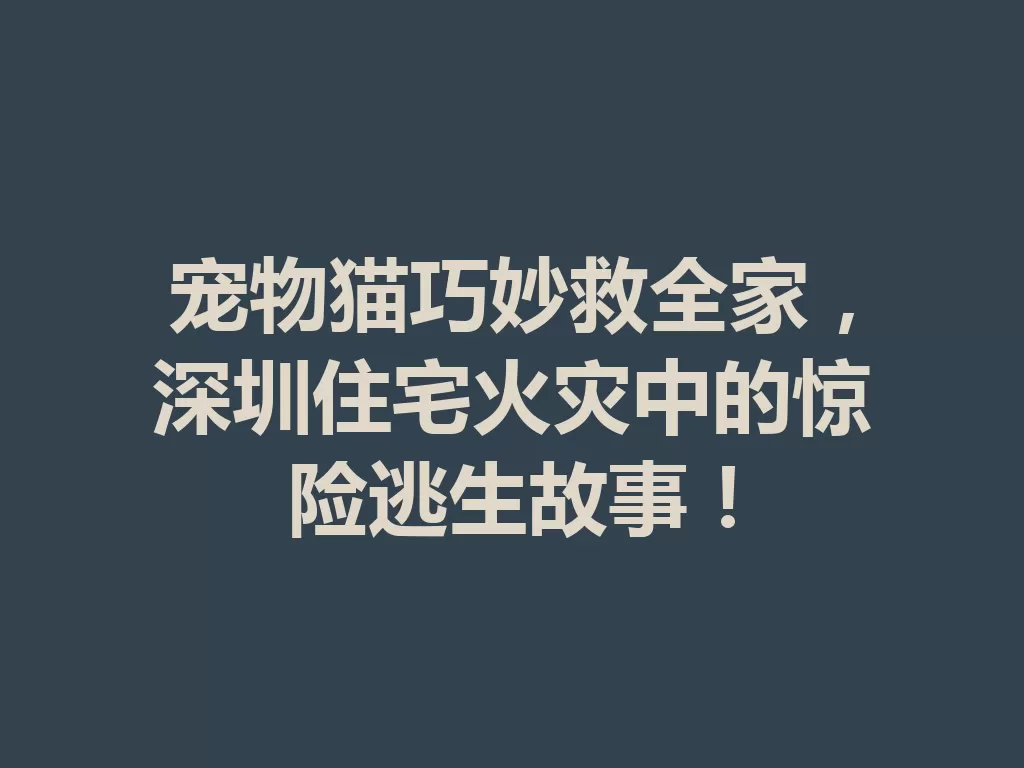 宠物猫巧妙救全家,深圳住宅火灾中的惊险逃生故事!-九八首码网-首码项目发布-网赚副业零撸项目平台