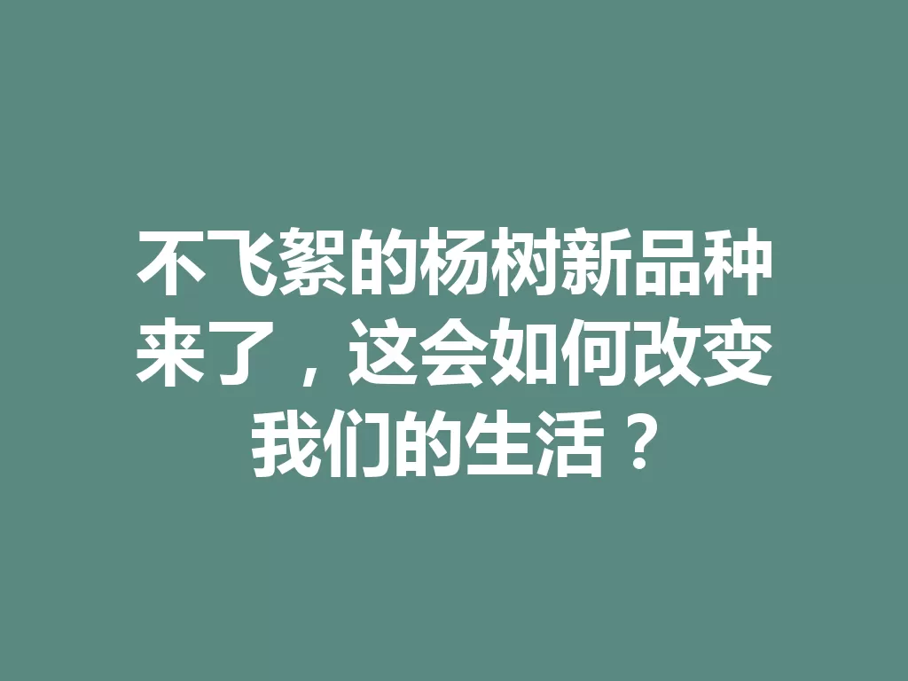 不飞絮的杨树新品种来了，这会如何改变我们的生活？-九八首码网-首码项目发布-网赚副业零撸项目平台