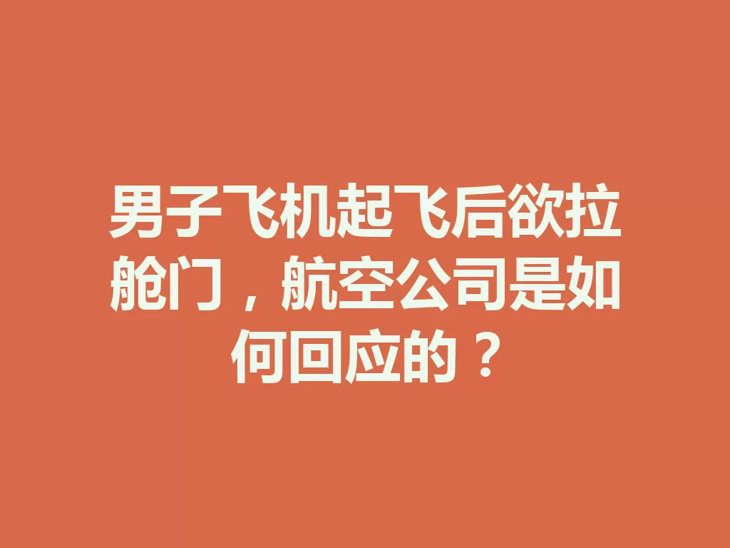 男子飞机起飞后欲拉舱门,航空公司是如何回应的?-九八首码网-首码项目发布-网赚副业零撸项目平台