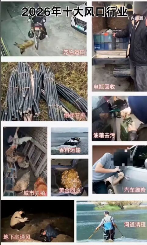 00后，到处都是赚钱路子，而你只会打工搬砖-九八首码网-首码项目发布-网赚副业零撸项目平台