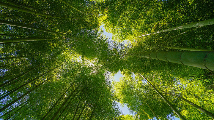 刷视频总加载转圈圈，你真搞懂什么叫服务器了？-九八首码网-首码项目发布-网赚副业零撸项目平台