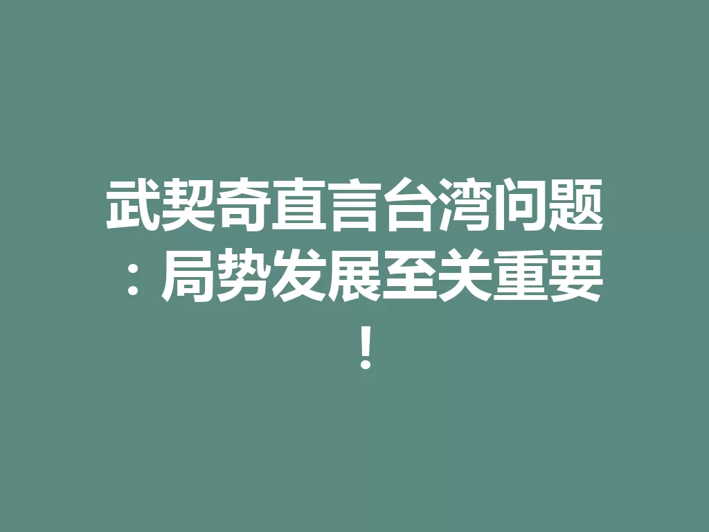 武契奇直言台湾问题:局势发展至关重要!-九八首码网-首码项目发布-网赚副业零撸项目平台