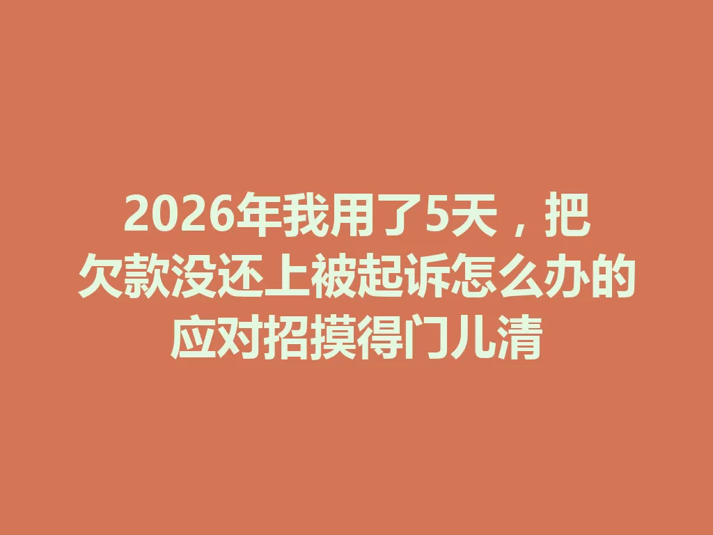 2026年我用了5天，把欠款没还上被起诉怎么办的应对招摸得门儿清-九八首码网-首码项目发布-网赚副业零撸项目平台