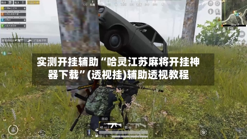 实测开挂辅助“哈灵江苏麻将开挂神器下载”(透视挂)辅助透视教程-九八首码网-首码项目发布-网赚副业零撸项目平台