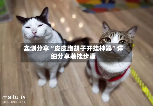 首码网实测分享“皮皮跑胡子开挂神器”详细分享装挂步骤-九八首码网-首码项目发布-网赚副业零撸项目平台
