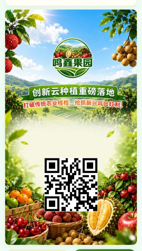 鸣鑫果园今天首码上线
抢占行业先行先机注册福利注册赠送杨梅树
(每晚12点自动分红)-九八首码网-首码项目发布-网赚副业零撸项目平台