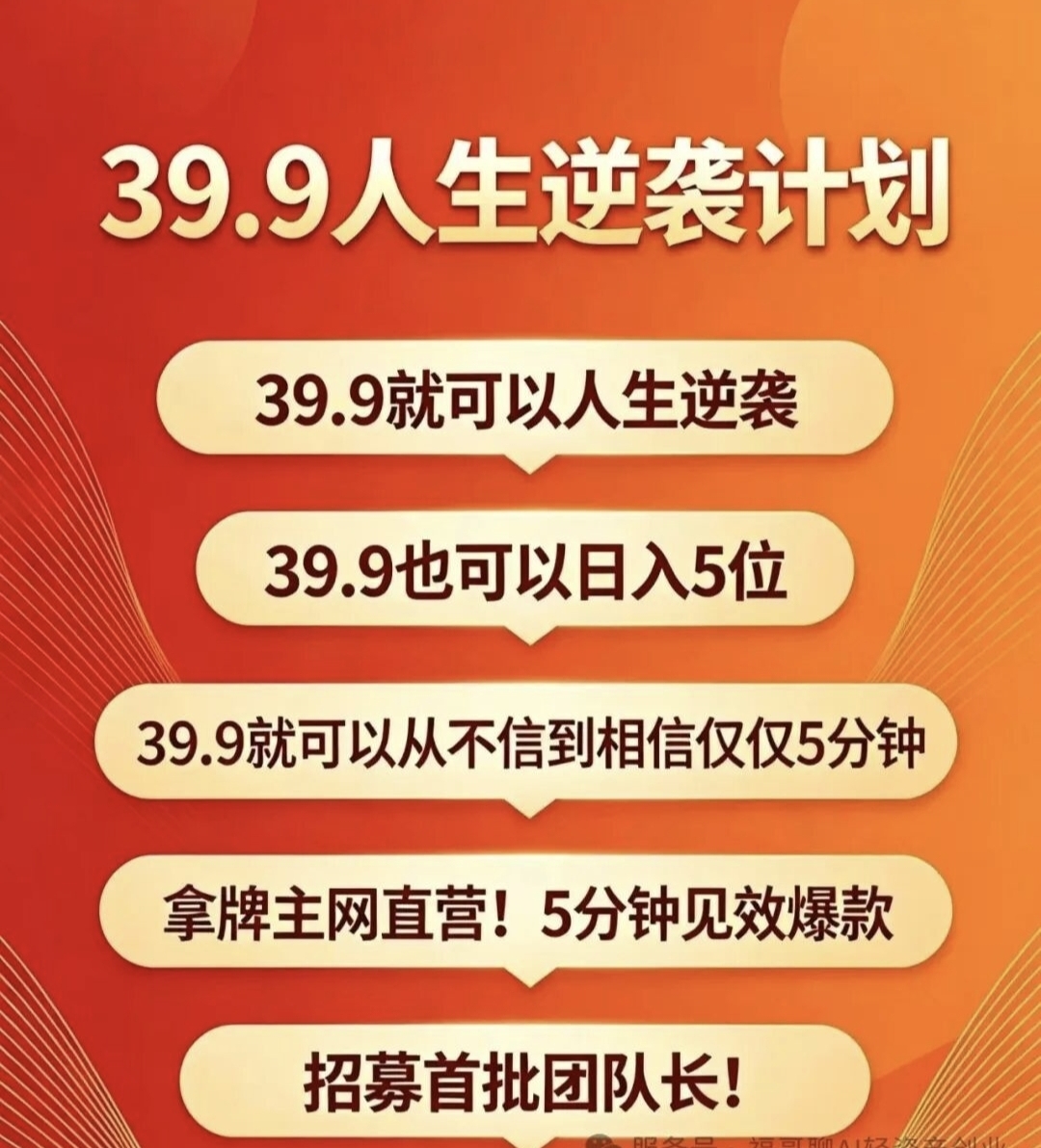 新富迪新思域模式完整介绍与制度解析-九八首码网-首码项目发布-网赚副业零撸项目平台