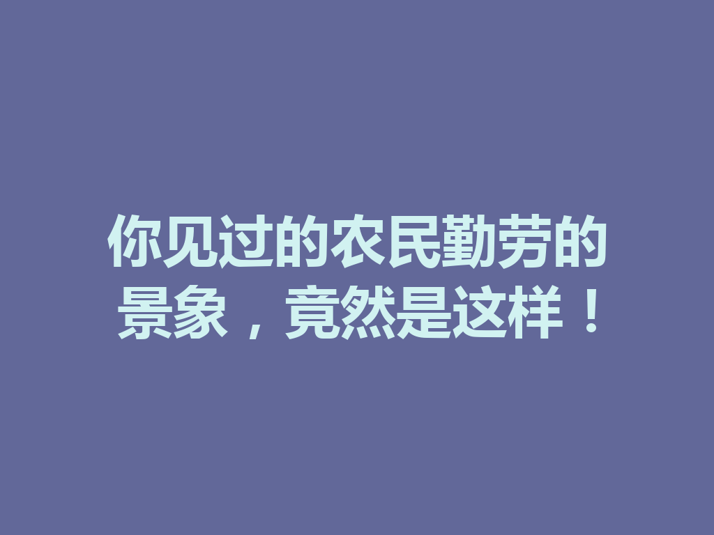 你见过的农民勤劳的景象,竟然是这样! 二