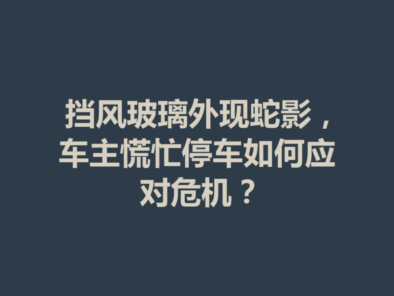 挡风玻璃外现蛇影，车主慌忙停车如何应对危机？-九八首码网-首码项目发布-网赚副业零撸项目平台