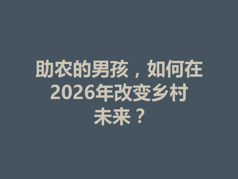 助农的男孩，如何在2026年改变乡村未来？-九八首码网-首码项目发布-网赚副业零撸项目平台