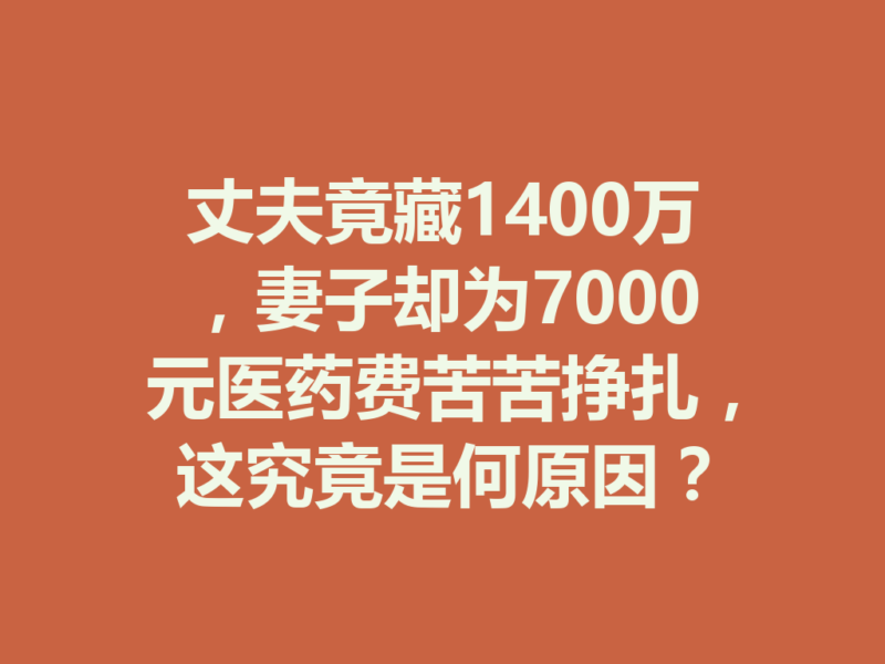丈夫竟藏1400万，妻子却为7000元医药费苦苦挣扎，这究竟是何原因？-九八首码网-首码项目发布-网赚副业零撸项目平台