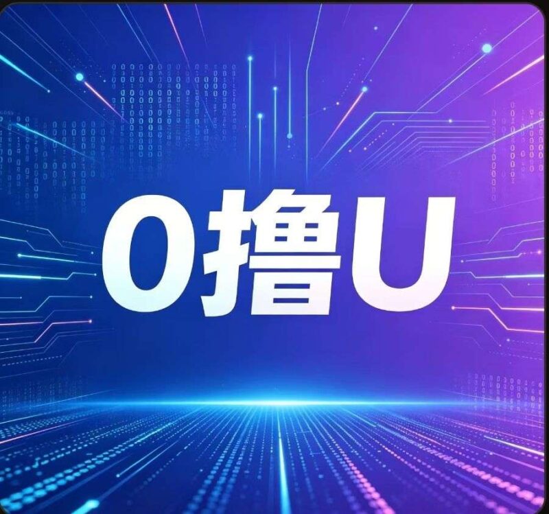 零撸USDT日撸4位数-九八首码网-首码项目发布-网赚副业零撸项目平台